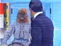 gorilla1.jpg